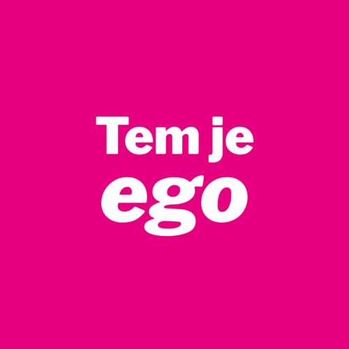 Online training Tem je ego
