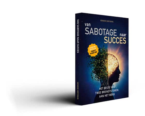Van Sabotage naar Succes (boek)